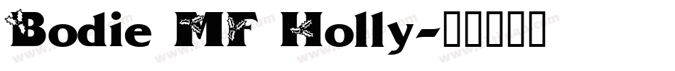 Bodie MF Holly字体转换